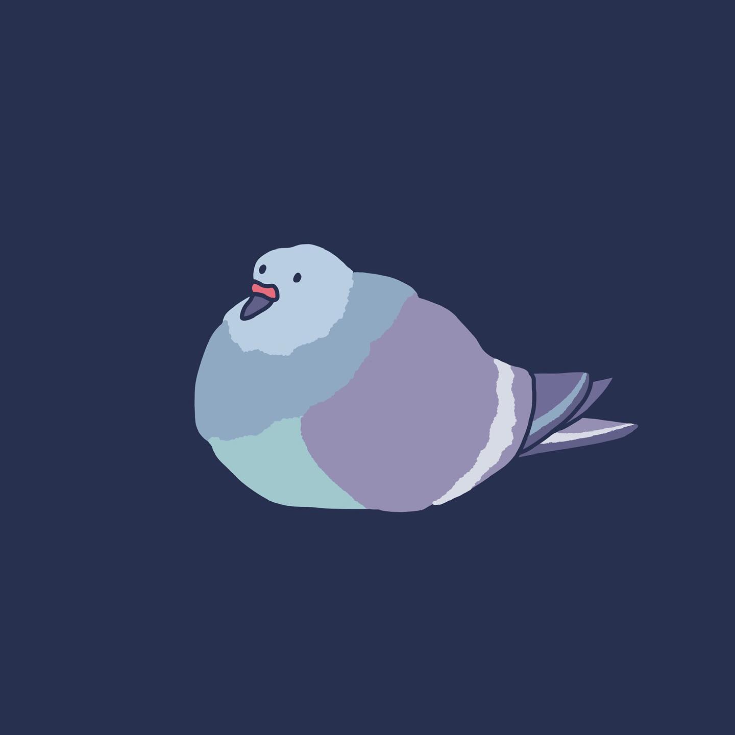 night pigeon
