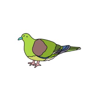 green pigeon
