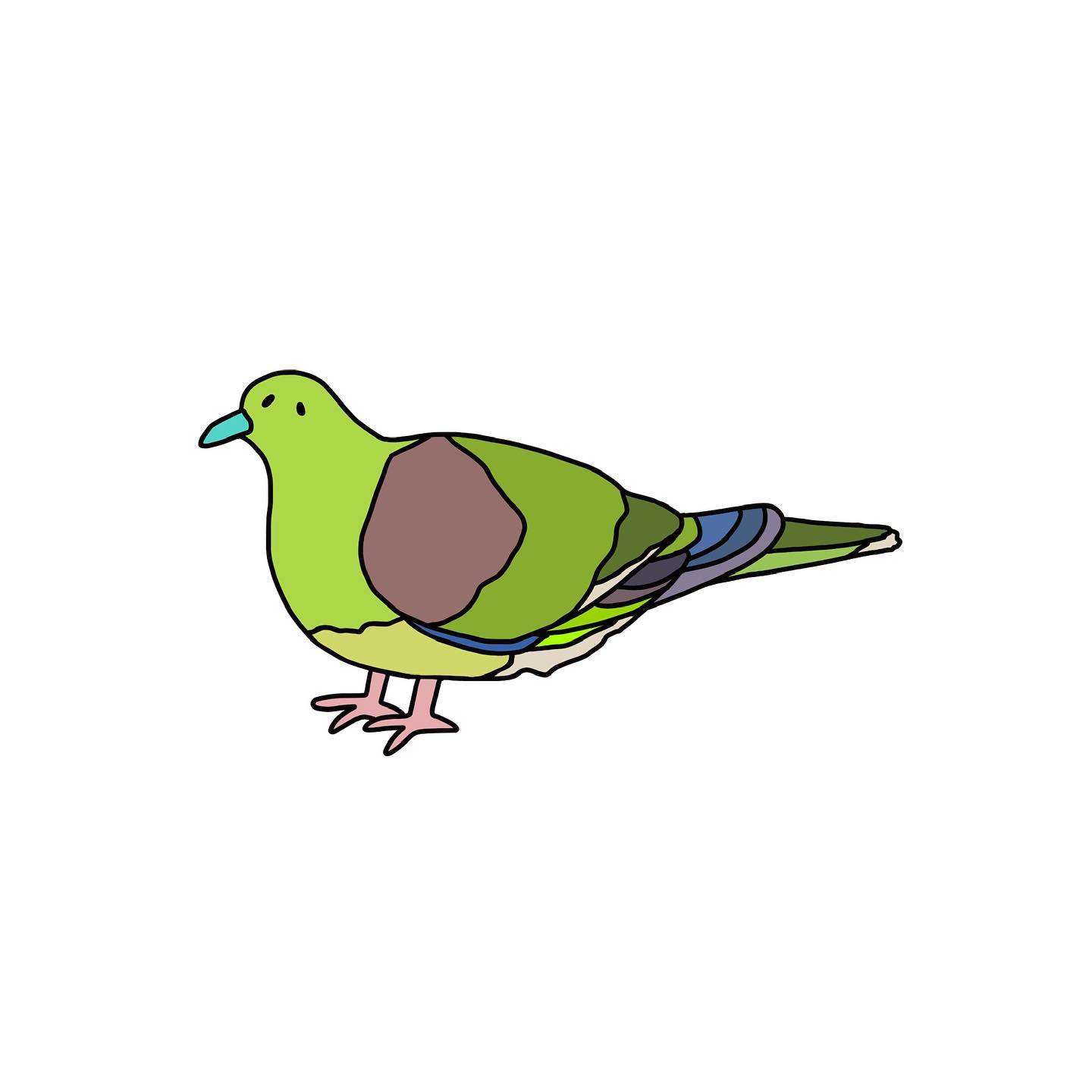 green pigeon