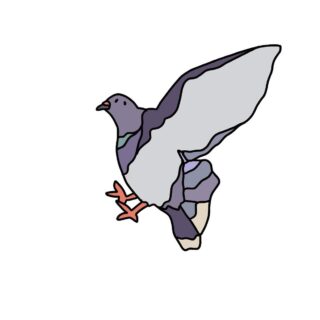 Flying pigeon