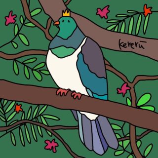 Kereru