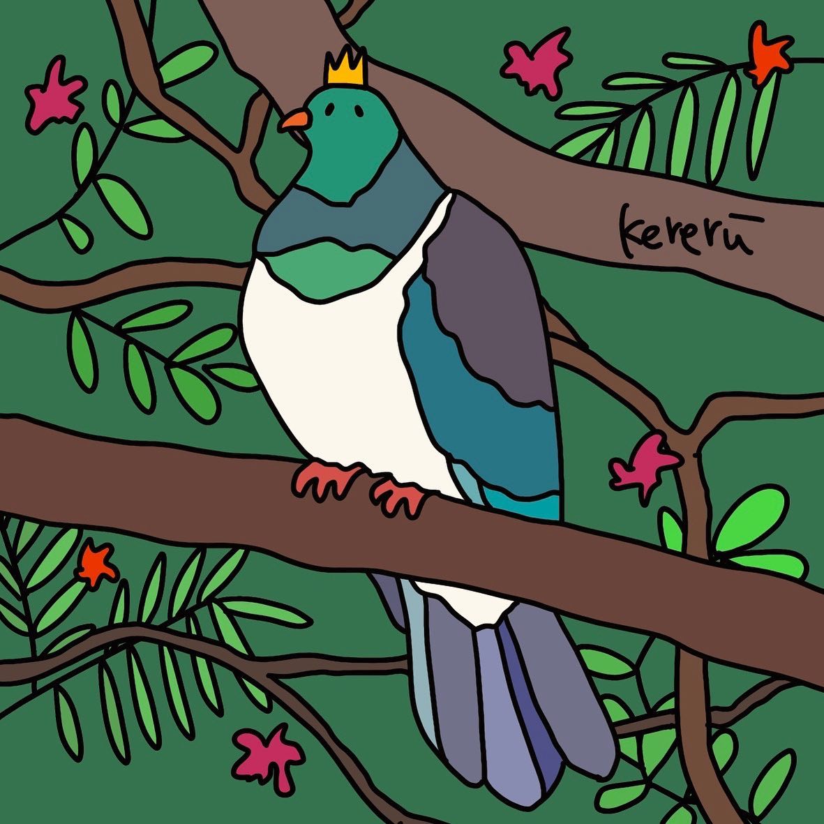 Kereru